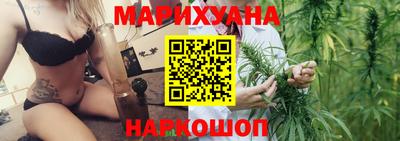 прущие крисы Гатчина