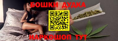 прущие крисы Гатчина