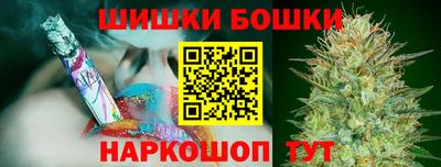 прущие крисы Гатчина